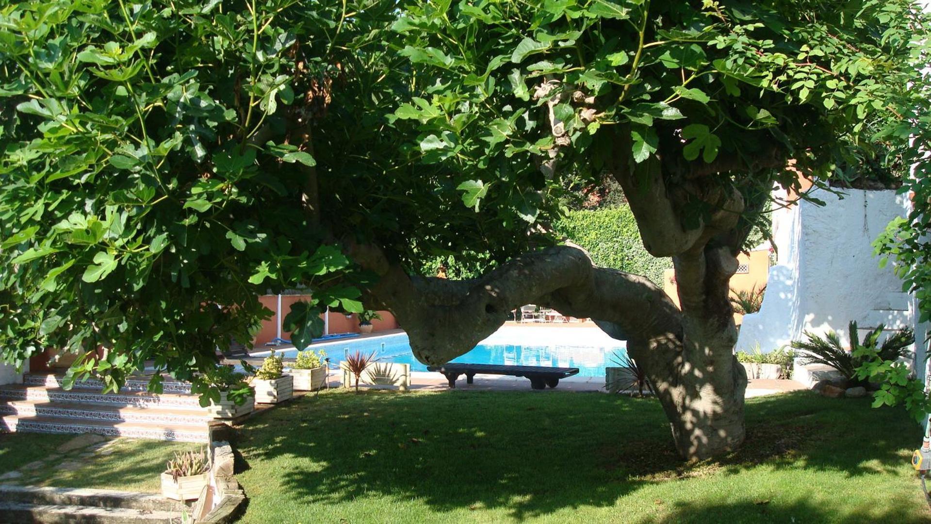 Comarquinal Bioresort Penedes Sant Quintí de Mediona Exterior foto
